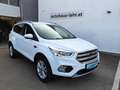 Ford Kuga 1,5 TDCi Titanium Start/Stop Powershift Aut. Weiß - thumbnail 1