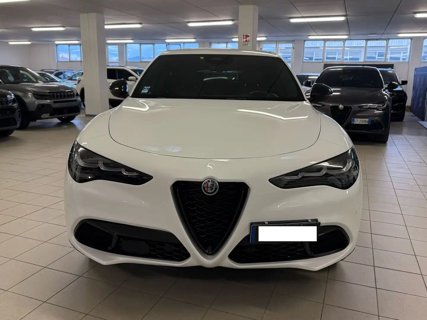 Alfa Romeo Stelvio Stelvio 2.2 Turbodiesel 210 CV AT8 Q4 Veloce Bianco - 2
