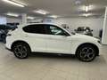 Alfa Romeo Stelvio Stelvio 2.2 Turbodiesel 210 CV AT8 Q4 Veloce Bianco - thumbnail 7