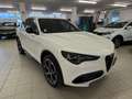 Alfa Romeo Stelvio Stelvio 2.2 Turbodiesel 210 CV AT8 Q4 Veloce Bianco - thumbnail 1
