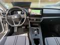 SEAT Leon SP 2.0 TDI DSG STYLE +LED +ACC +NAVI +SHZ +ALU +D Weiß - thumbnail 10