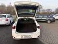 SEAT Leon SP 2.0 TDI DSG STYLE +LED +ACC +NAVI +SHZ +ALU +D Weiß - thumbnail 16
