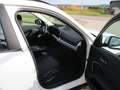 BMW X1 25 e xDrive Head-Up,Adaptiver LED, Blanco - thumbnail 10