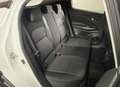 Nissan Juke 1.0 dig-t Acenta 114cv NUOVA Bianco - thumbnail 6