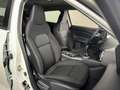 Nissan Juke 1.0 dig-t Acenta 114cv NUOVA Bianco - thumbnail 5