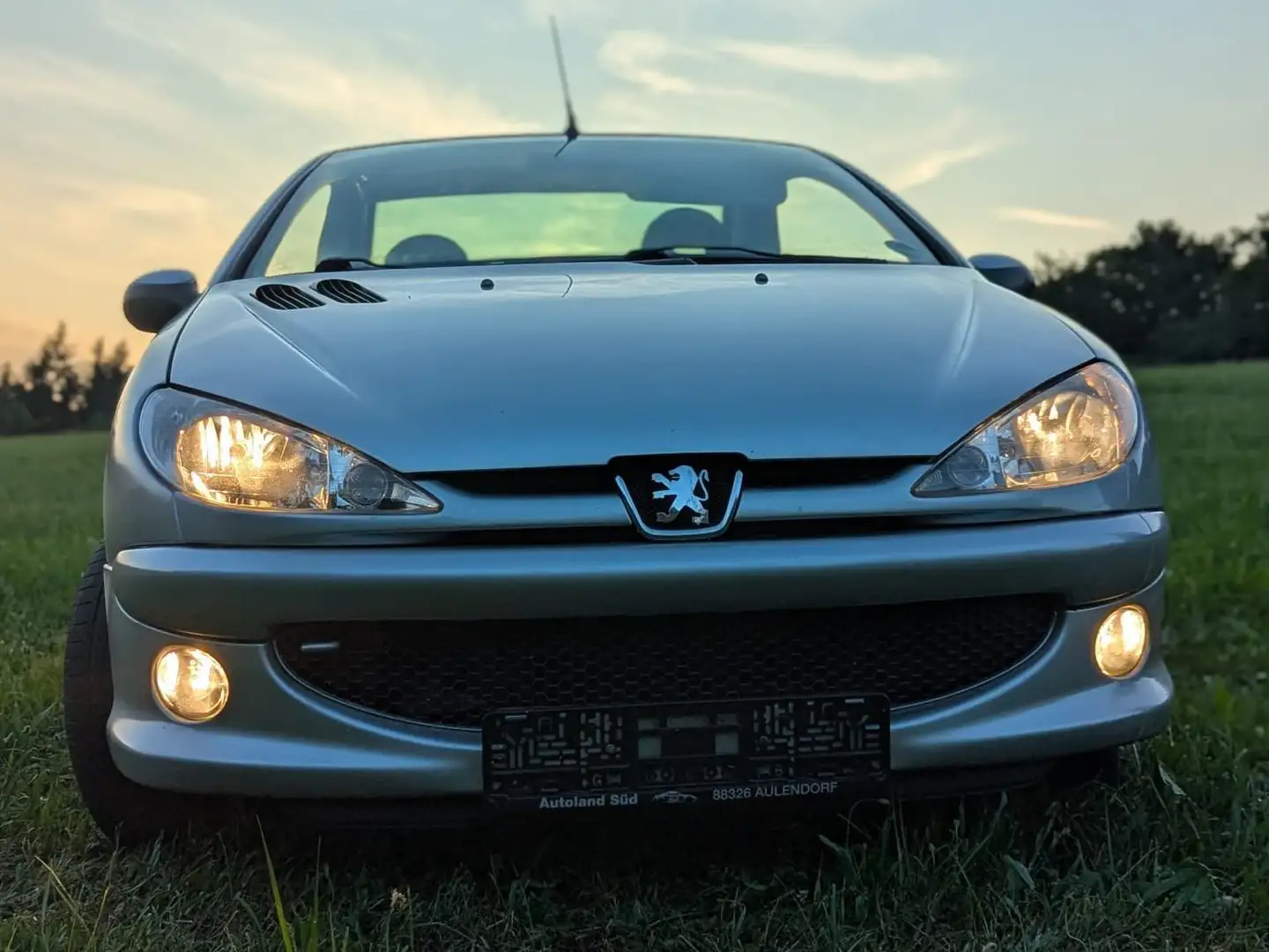 Peugeot 206 206 CC 110 - 1