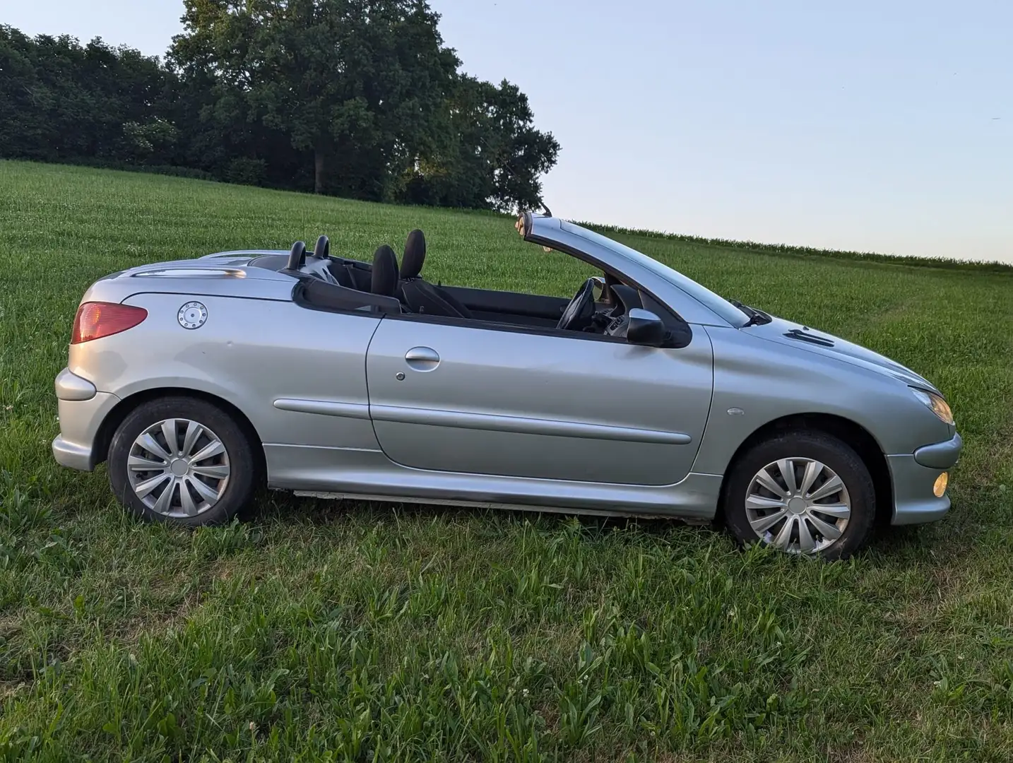 Peugeot 206 206 CC 110 - 2