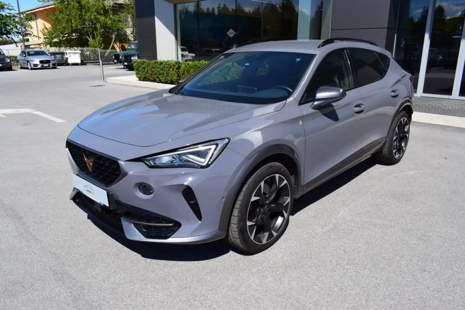 CUPRA Formentor 2.0 TSI DSG 4Drive Grigio - 1