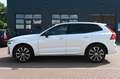Volvo XC60 B4 Plus Dark *360°*H/K*NAV*PANO*ACC*STDHZG* Weiß - thumbnail 3
