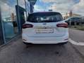 Ford Focus Tit. Edition Turn. 1,0 EB mHEV 125PS M6 Weiß - thumbnail 5