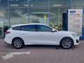Ford Focus Tit. Edition Turn. 1,0 EB mHEV 125PS M6 Weiß - thumbnail 3