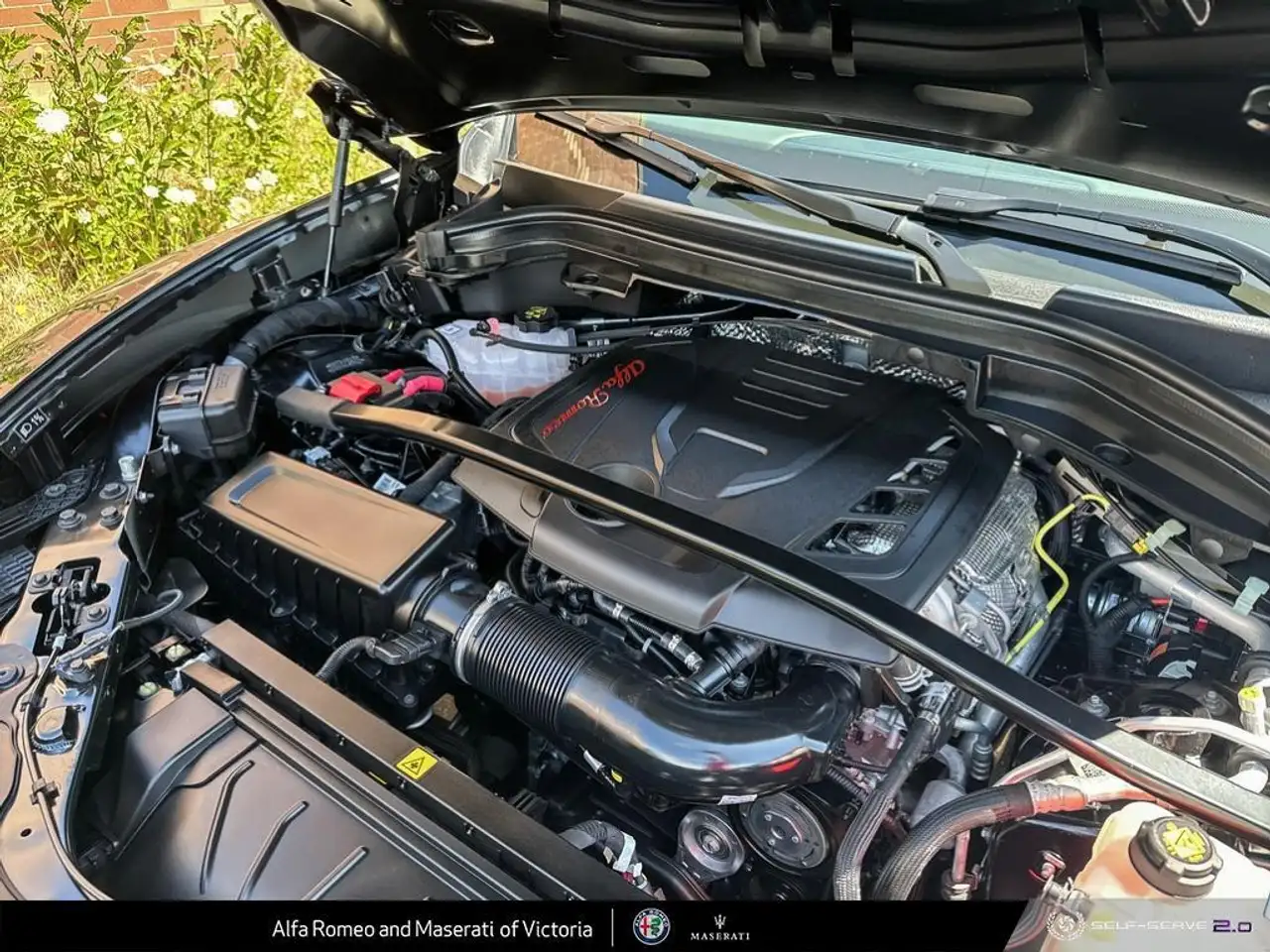 Alfa Romeo Stelvio снимка Alfa Romeo Stelvio