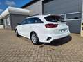 Kia Ceed / cee'd Sportswagon Vision 1.5 T-GDi 140PS Automatik Klima Blanc - thumbnail 3