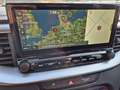 Kia Ceed / cee'd Sportswagon Vision 1.5 T-GDi 140PS Automatik Klima Blanc - thumbnail 14