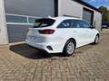 Kia Ceed / cee'd Sportswagon Vision 1.5 T-GDi 140PS Automatik Klima Blanc - thumbnail 5
