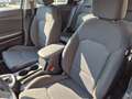 Kia Ceed / cee'd Sportswagon Vision 1.5 T-GDi 140PS Automatik Klima Blanc - thumbnail 19