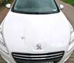 Peugeot 508 508 120 VTi EGS6 Access Weiß - thumbnail 14