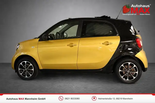 Smart Forfour view 2
