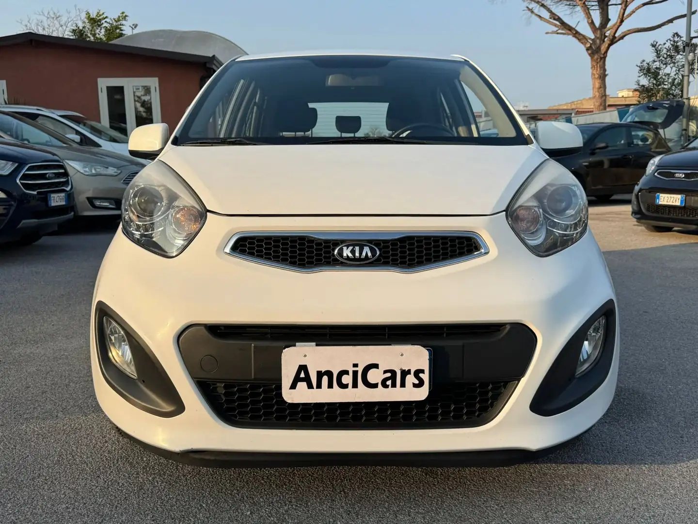 Kia Picanto 1.0 Eco Gpl Glam 5p Weiß - 1