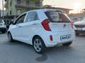 Kia Picanto 1.0 Eco Gpl Glam 5p Weiß - thumbnail 14