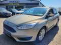 Ford Focus Turnier 1.0 EcoBoost Gold - thumbnail 1