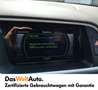 Audi Q5 2.0 TDI quattro intense Gris - thumbnail 19