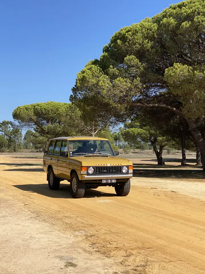 Land Rover Range Rover Classic 3.9 EFi V8, foto 2