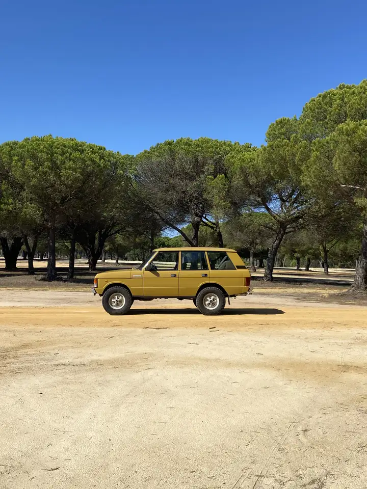 Land Rover Range Rover Classic 3.9 EFi V8, foto 4