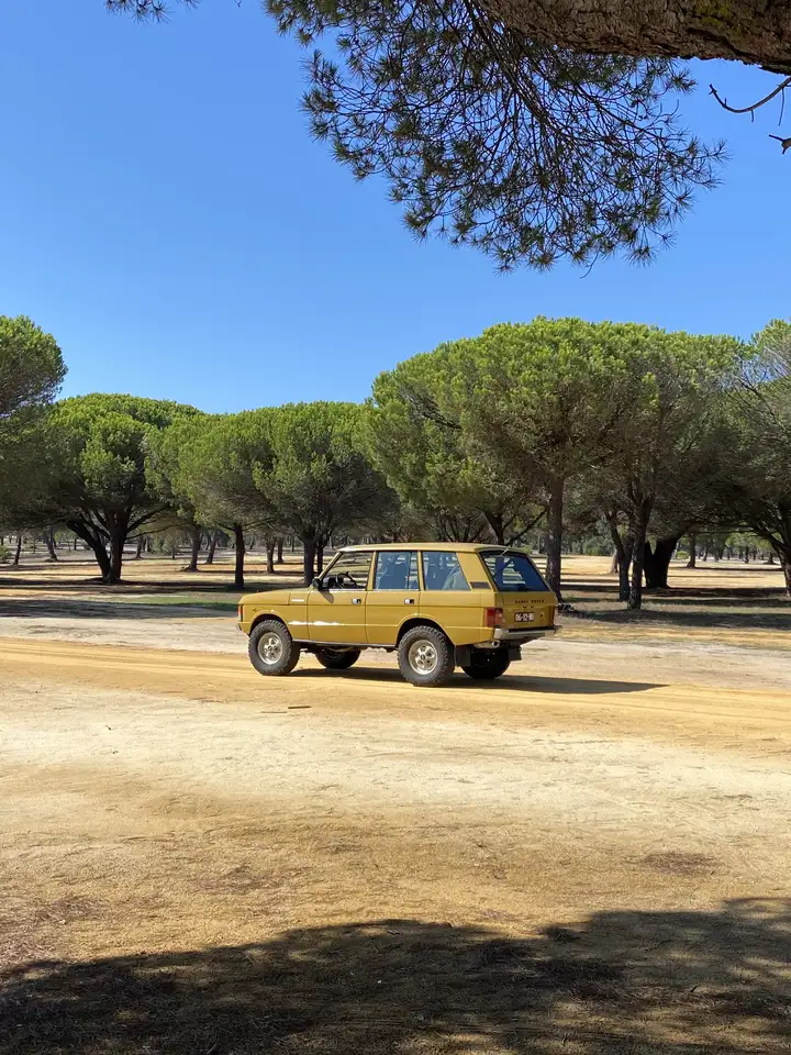 Land Rover Range Rover Classic 3.9 EFi V8, foto 5
