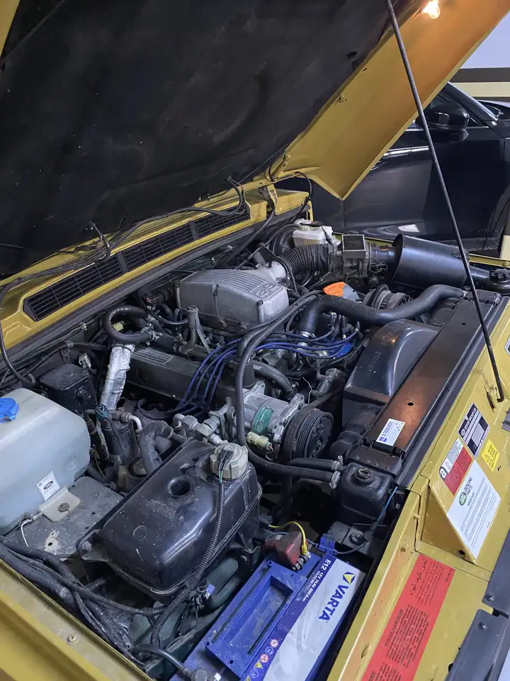 Land Rover Range Rover Classic 3.9 EFi V8, foto 10