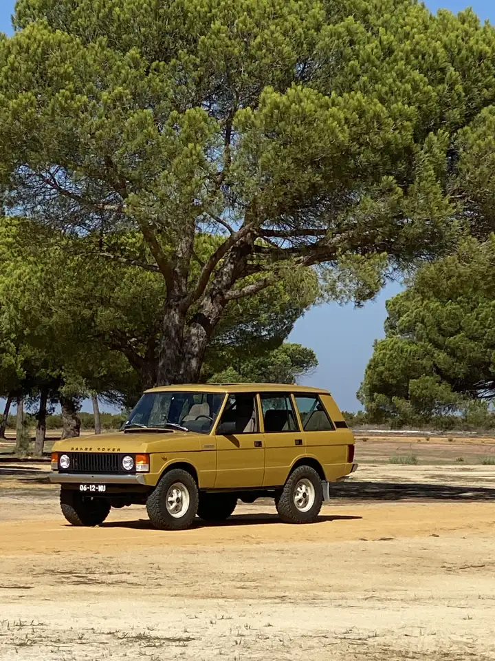 Land Rover Range Rover Classic 3.9 EFi V8, foto 3