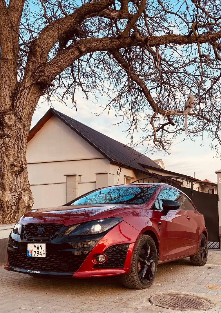 SEAT Ibiza Cupra Bocanegra Rosso - 1