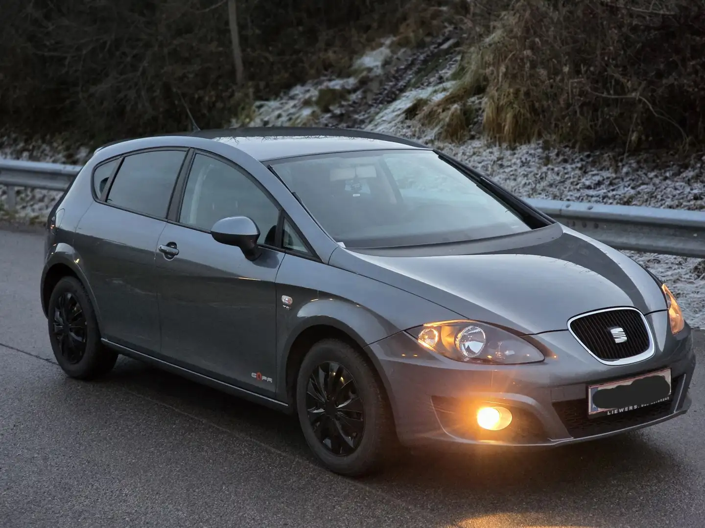 SEAT Leon Chili-Copa 1,2 TSI Grau - 2
