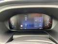 Ford Transit Transit 350 L3H3 Lkw VA Trend (V363) Blanc - thumbnail 12