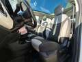 Fiat 500L 500L 1.4 Panoramic Edition 95cv - TETTO!!!! Wit - thumbnail 9