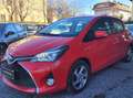 Toyota Yaris Yaris III 2015 5p 1.5h Active my16 Rot - thumbnail 2