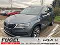 Skoda Karoq 1.5 TSI Drive 125 LED|Navi|AHK Gris - thumbnail 1