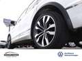 Volkswagen Tiguan R-Line 1.5 TSI DSG AHK+NAVI+STANDH.+PANO Weiß - thumbnail 6