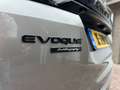 Land Rover Range Rover Evoque Autobiography | Cold climate pack | Panorama Zilver - thumbnail 17