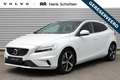 Volvo V40 T3 Automaat Polar+ Sport | Adaptieve Cruise Contro Bianco - thumbnail 1