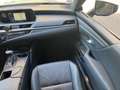 Lexus ES 300 300 Luxe 2.5l 218 CV BVA Grijs - thumbnail 17