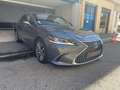 Lexus ES 300 300 Luxe 2.5l 218 CV BVA Grijs - thumbnail 3