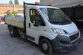 Fiat Ducato Ducato 35 2.3 mtj 130cv PM Ribaltabile Trilaterale Bianco - thumbnail 1