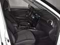 SsangYong Tivoli 1.5 G15T 135CV Urban Plus Blanco - thumbnail 16