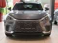 Lexus LBX 1.5 Hybrid Emotion NAVI SHZ PDC KLIMA Carplay Grau - thumbnail 5