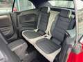 Volkswagen T-Roc 3x T-Roc Cabriolet 1.5 TSI Style Cuir 32.000kms Rouge - thumbnail 15