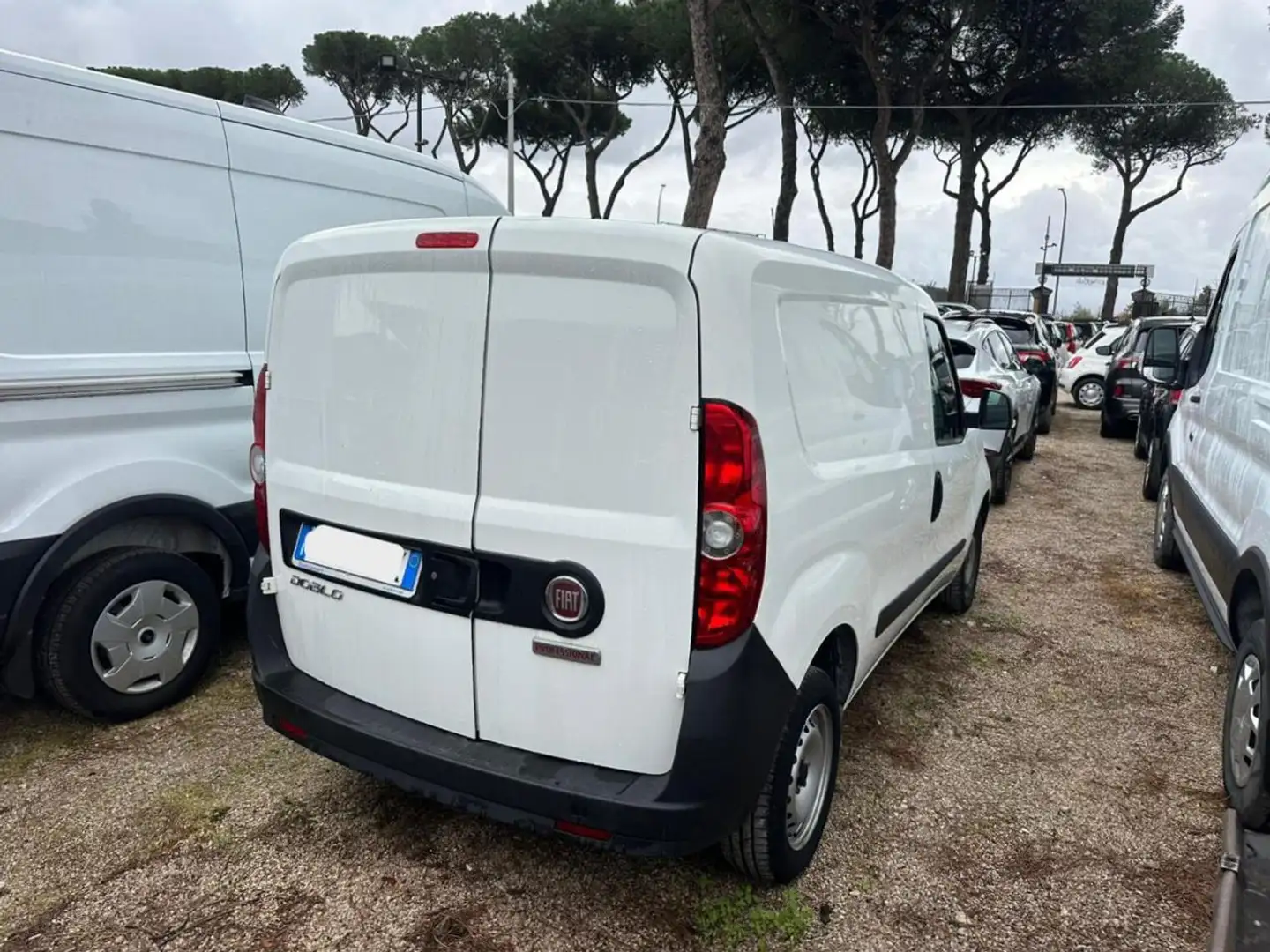 Fiat Doblo CARGO CH1 EASY 1.6Mjet 90cv E6D Bianco - 2