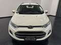 Ford EcoSport 1.0 Titanium 125cv DISTRIBUZIONE NUOVA! EURO 6! Bianco - thumbnail 7