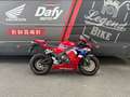Honda CBR 600 Rouge - thumbnail 2