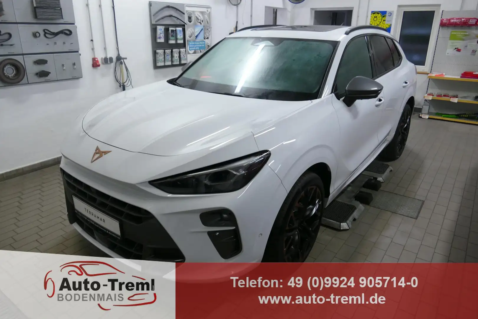 CUPRA Terramar VZ 2.0 TSI 265 PS DSG 4Drive AHK Pano 20" Hadro... Blanc - 1